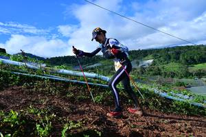 BIB: 
                            <button type="button" onclick="openModal(13379364)" class="btn btn-primary btn-sm float-right btn-popup" data-toggle="modal" data-target=".modal-high-quality">
                        <i class="fas fa-shopping-cart"></i> Add to Cart
                    </button>
                                            <button type="button" onclick="isThisMe(13379364, true)" class="btn btn-success btn-sm float-right btn-popup btn-isme hidden" data-toggle="tooltip" data-placement="bottom" title="นี่คือรูปของคุณใช่ไหม คลิกที่นี่เพื่อเอาเข้าอัลบั้ม">
                        <i class="fas fa-plus"></i> Add to album
                    </button>
                    <button type="button" onclick="isThisMe(13379364, false)" class="btn btn-warning btn-sm float-right btn-popup btn-isnotme hidden">
                        <i class="fas fa-ban"></i> Remove from album
                    </button>